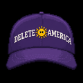 DELETE AMERICA HAT